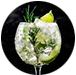 Gin Tonic